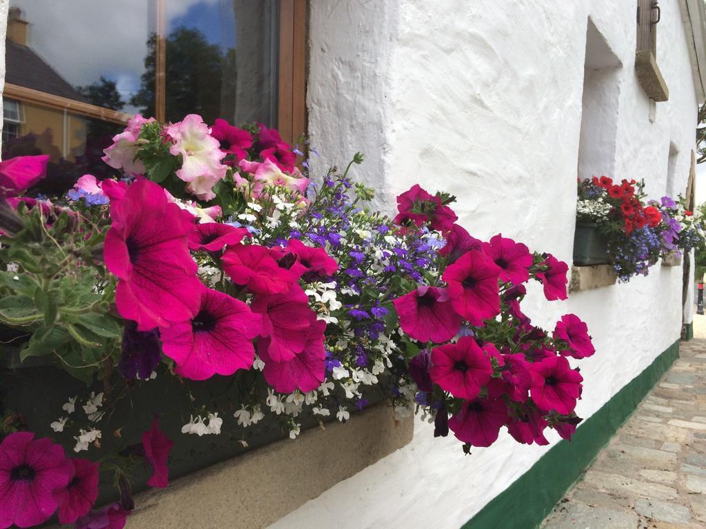 The Bothy Self Catering Accommodation Rousky Exterior foto